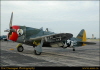 tom2004880044