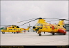 trent20030074