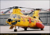 trent20030078