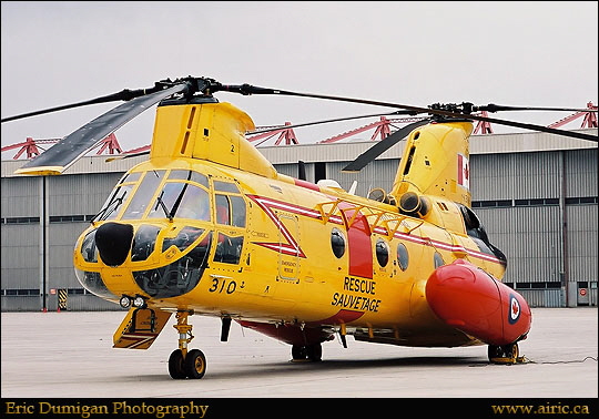 trent20030078