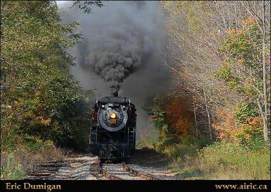 steam20071082411