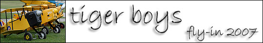 tigerboysheader
